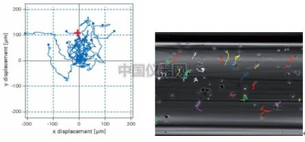 易必迪ibidi细胞趋化性试验 u-Slide Chemotaxis 2D 图8.png