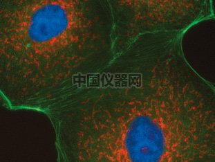 图3.jpg