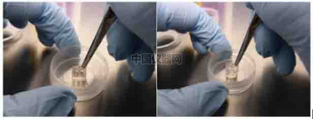 伤口愈合/细胞划痕实验新方法-如何划出笔直均一的划痕