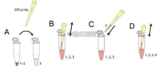 细胞趋化实验新方法(二)--实时观察细胞动态