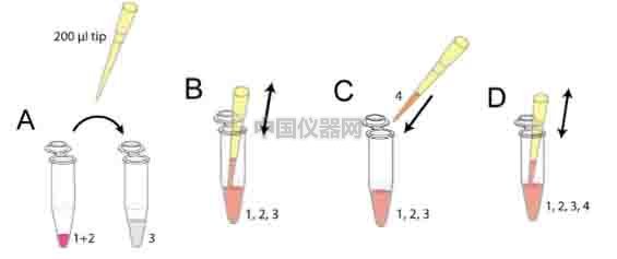 细胞趋化实验新方法（二）--实时观察细胞动态