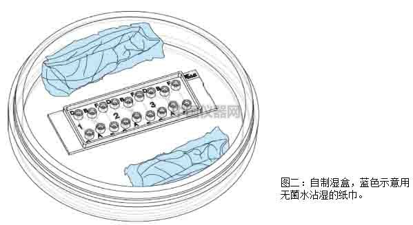 细胞趋化实验新方法（二）--实时观察细胞动态