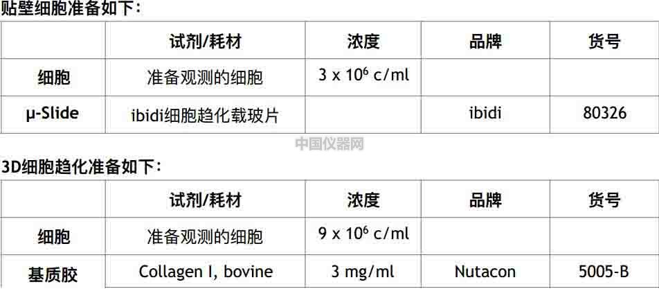 细胞趋化实验新方法(二)--实时观察细胞动态