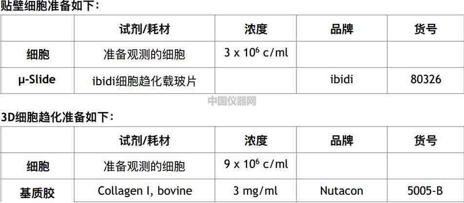 细胞趋化实验新方法（二）--实时观察细胞动态