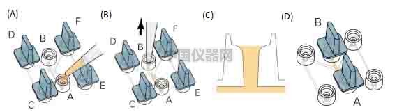 细胞趋化实验新方法(二)--实时观察细胞动态