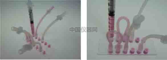 探讨流体剪切力对细胞活动的影响--流体剪切力对细胞吸收人造细胞器的影响