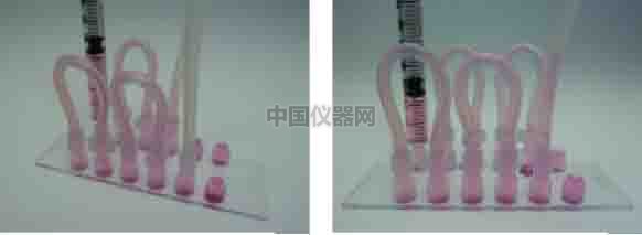 探讨流体剪切力对细胞活动的影响--流体剪切力对细胞吸收人造细胞器的影响