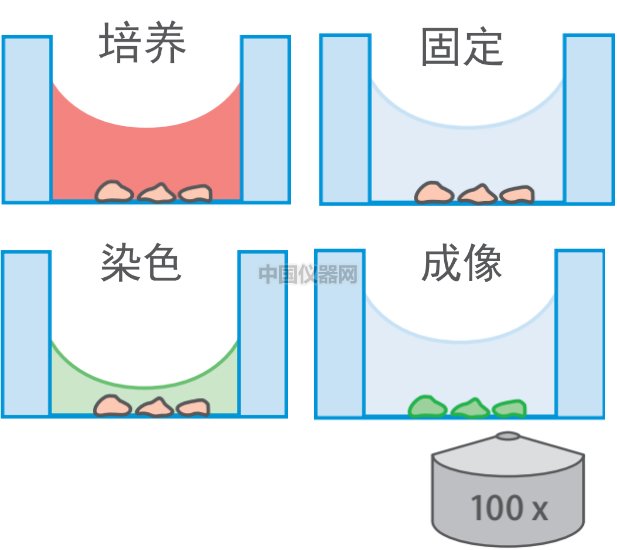 激光共聚焦实验的样品准备方法对比——无需细胞爬片的样品准备新方法VS传统方法