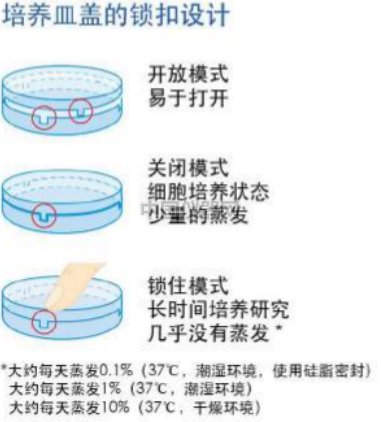 激光共聚焦实验的样品准备方法对比——无需细胞爬片的样品准备新方法VS传统方法