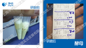 多样品组织研磨仪 型号：Tissuelyser-96