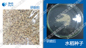 快速组织研磨机,多样品组织匀浆机,快速样品匀浆系统