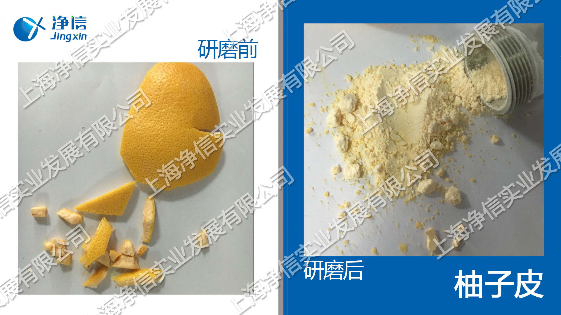 快速组织研磨机,多样品组织匀浆机,快速样品匀浆系统