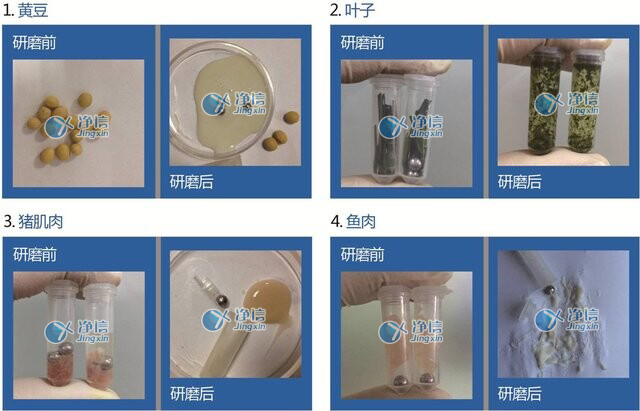 全自动样品快速研磨仪