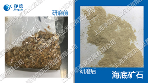 全自动样品快速研磨仪-32