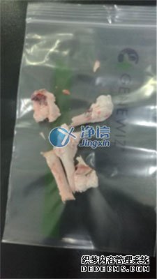 多样品组织研磨机研磨兔子骨头-上海净信