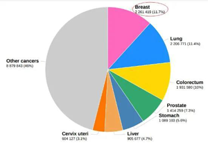2020年全球最常见新发癌症类型及占比